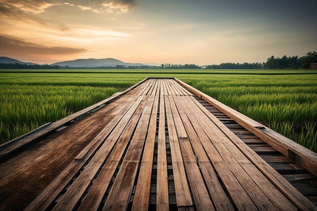 Una passerella in legno conduce ad un prato verde con una montagna sullo sfondo.