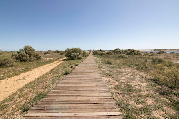 Una passerella in legno sulla spiaggia di Isla Cristina Spagna Ampiamente utilizzata dai vacanzieri in vacanza