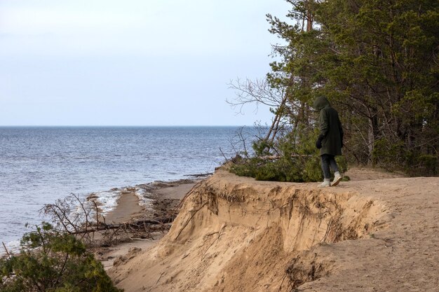 Una persona cammina lungo il bordo di una duna lavata sulla riva del Mar Baltico con alberi caduti nell'acqua