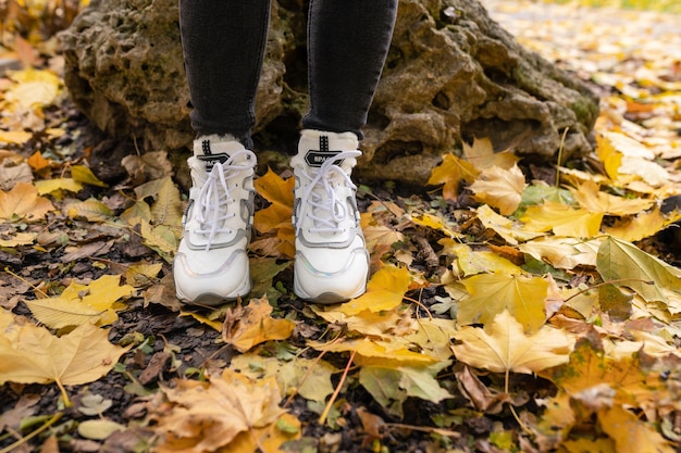 Una persona che indossa scarpe bianche si trova tra le foglie di un albero.