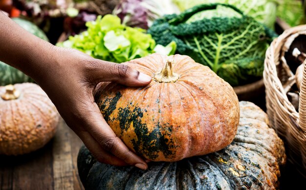 Una persona che tiene una zucca