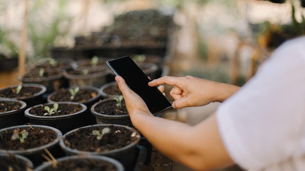 Una persona che utilizza uno smartphone in una serra