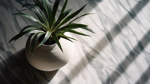 Una pianta in un vaso bianco con una foglia verde