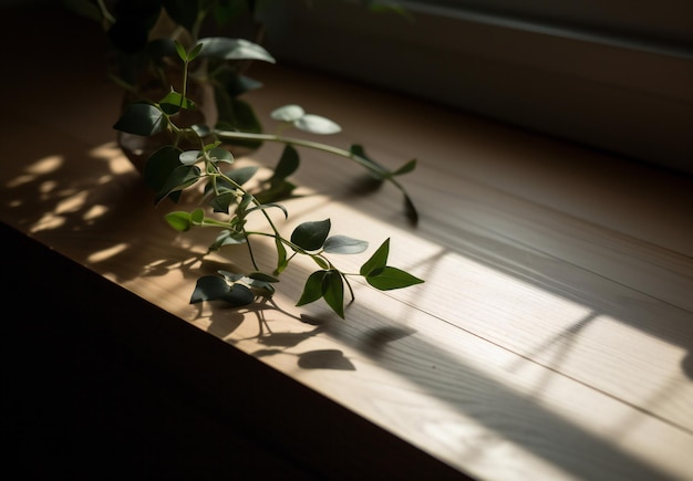 Una pianta su un davanzale con il sole che splende attraverso le foglie.