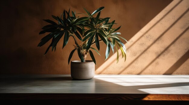 Una pianta su un tavolo davanti a un muro marrone