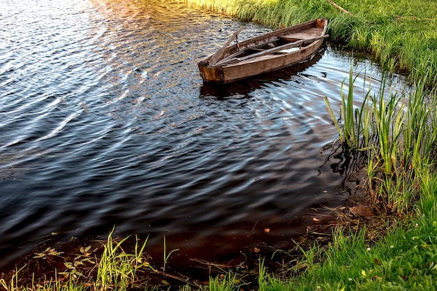 Una piccola barca a remi in legno con un fondo rotto su un lago calmo vicino alla riva.