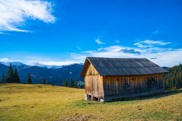 Una piccola casa grigia solitaria si erge su un fresco prato verde umido in mezzo a una densa nebbia grigia