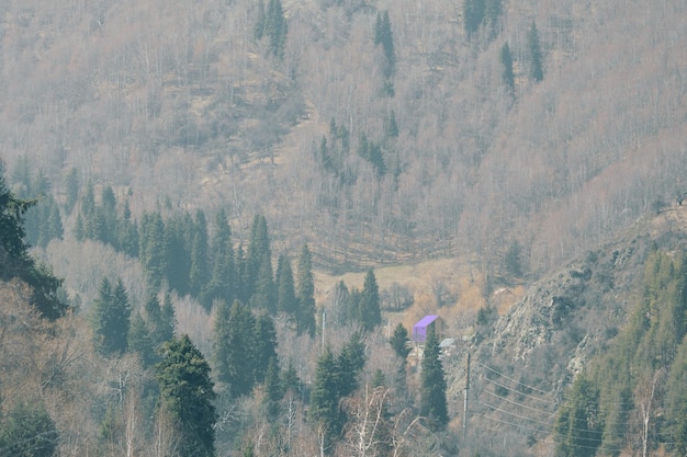 Una piccola casa viola in montagna