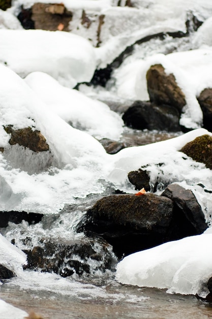 una piccola cascata attiva pulita ruscello di montagna paesaggio invernale innevato sfondo della fauna selvatica