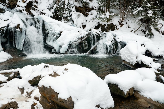 una piccola cascata attiva pulita ruscello di montagna paesaggio invernale innevato sfondo della fauna selvatica