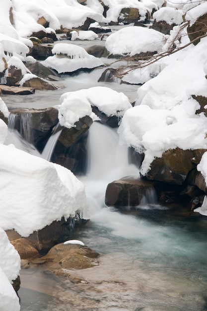 una piccola cascata attiva pulita ruscello di montagna paesaggio invernale innevato sfondo della fauna selvatica