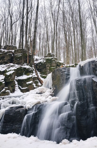 Una piccola cascata di montagna è coperta di neve. Flusso nella foresta, paesaggio invernale, sfondo chiaro