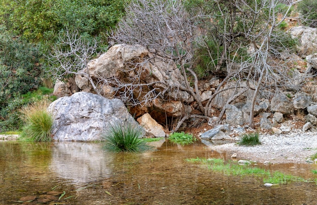 Una piccola grotta nelle rocce vicino alla cascata con laghetto verde.