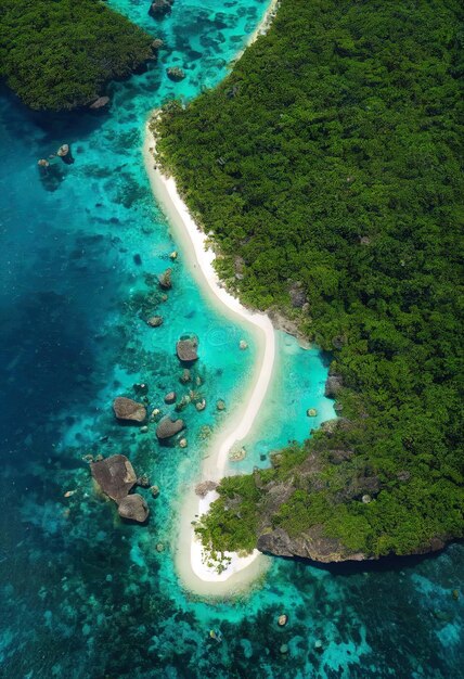 una piccola isola con una spiaggia e una piccola isoletta con una spiagna e degli alberi