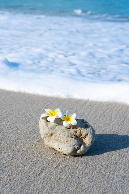 Una piccola pietra di una forma liscia interessante è lavata dalle onde sulla spiaggia. Calma e relax grazie al concetto di mare