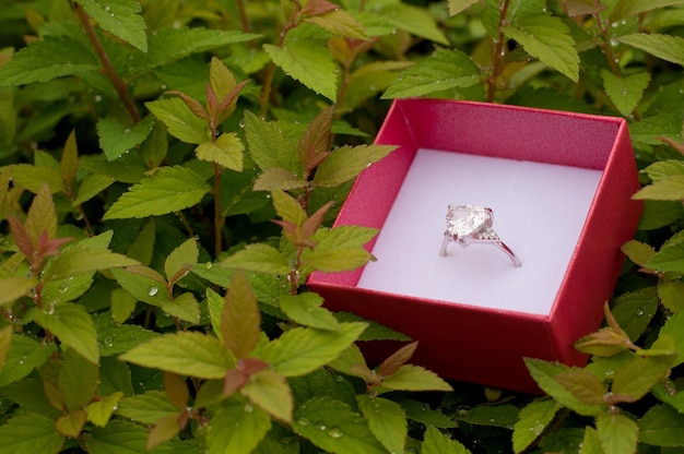 Una piccola scatola rossa con un anello in oro bianco con un diamante su uno sfondo di foglie verdi con gocce di pioggia