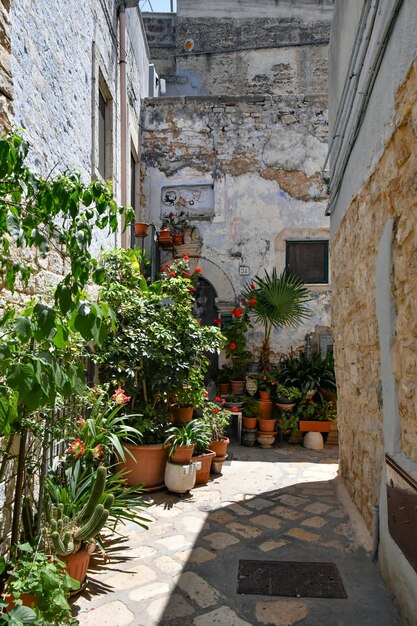 Una piccola strada a Casamassima, un villaggio con case di colore blu nella Puglia, in Italia