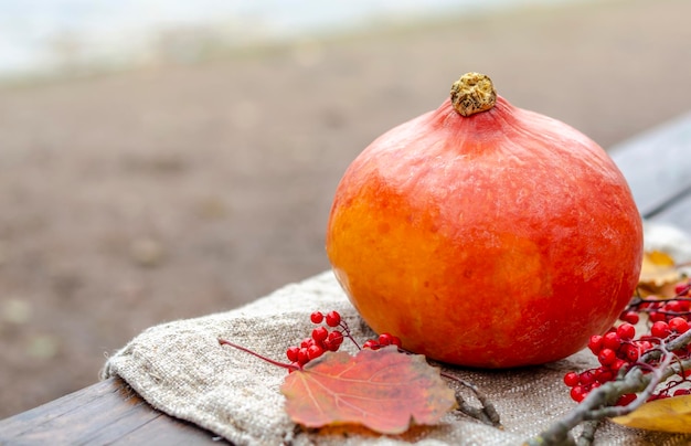 Una piccola zucca arancione gialla foglie autunnali e bacche di sorbo rosso su una panca di legno su uno sfondo marrone chiaro