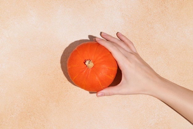 Una piccola zucca decorativa in una mano femminile su fondo beige