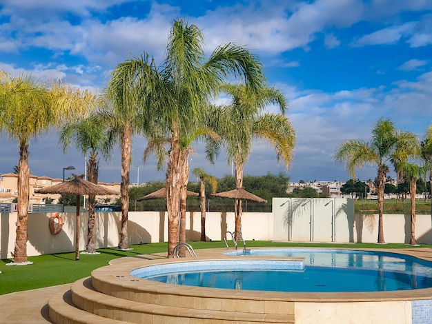 Una piscina con un ombrellone e una palma sullo sfondo