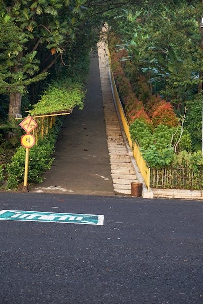 Una pista a piedi con piante sul lato sinistro e una recinzione di ferro sul lato destro della città