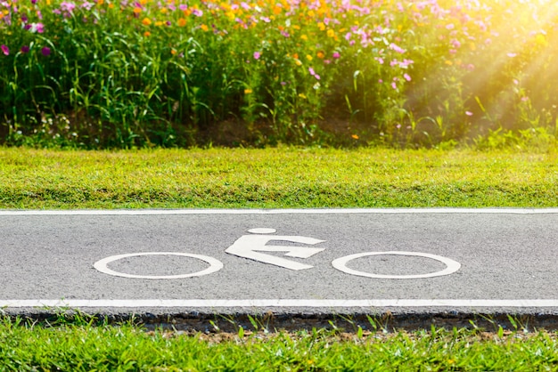 Una pista ciclabile per ciclista