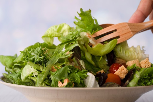 Una porzione di insalata di giardino