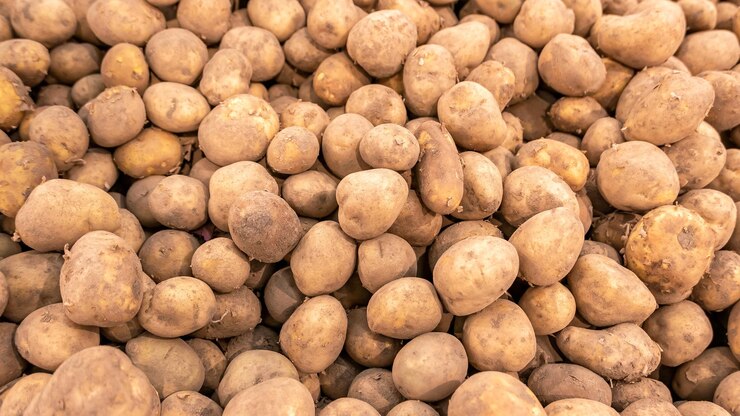 Una quantità molto grande di piccole patate fresche un sacco di patate in una cassa al negozio negozio supermercato semplice molteplici patate raccolte sfondo consistenza sfondo carta da parati nessuno verdure