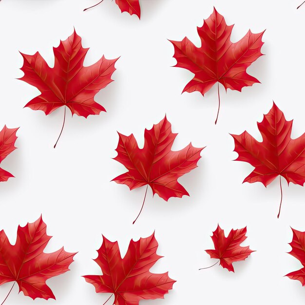 una raccolta di foglie di acero rosse con uno sfondo bianco.