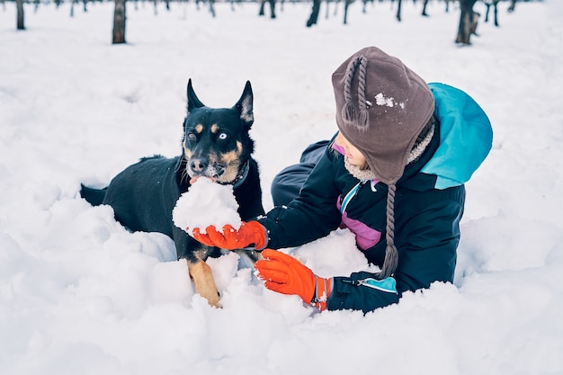 Una ragazza calda con cappello e guanti sdraiata e che gioca nella neve con un cane con un occhio di ogni colore