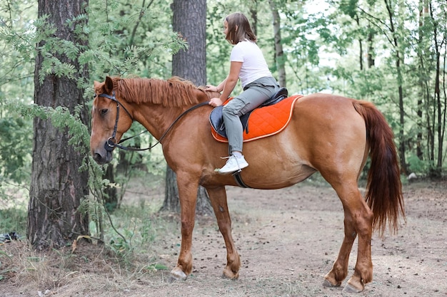 Una ragazza cavalca un cavallo nella calda estate nella foresta