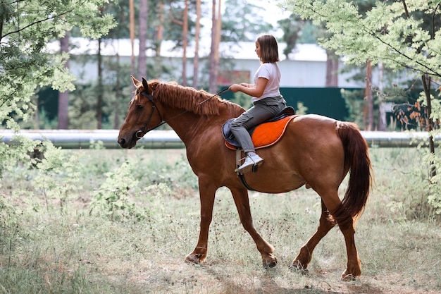 Una ragazza cavalca un cavallo nella calda estate nella foresta