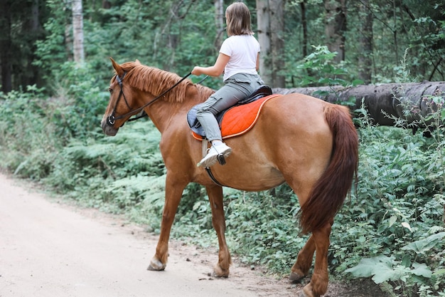 Una ragazza cavalca un cavallo nella calda estate nella foresta