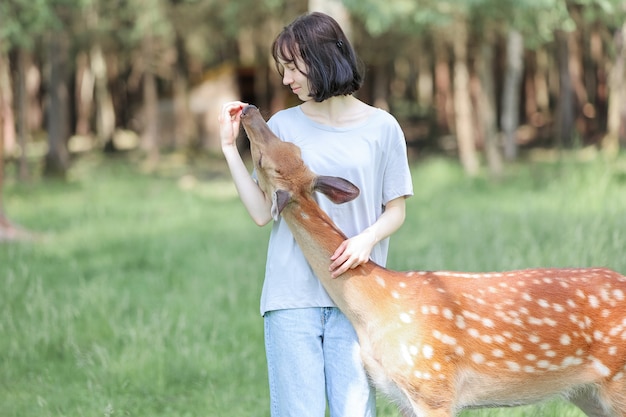 Una ragazza che alimenta il simpatico cervo maculato bambi allo zoo delle carezze. La ragazza viaggiatrice felice gode di socializzare con gli animali selvatici nel parco nazionale in estate. Cucciolo di cervo che gioca con le persone in contatto con lo zoo