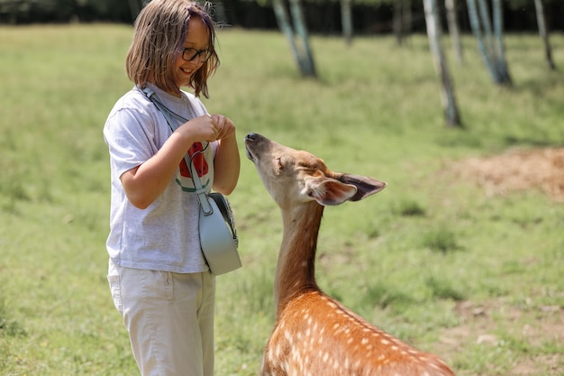 Una ragazza che alimenta il simpatico cervo maculato bambi allo zoo delle carezze. La ragazza viaggiatrice felice gode di socializzare con gli animali selvatici nel parco nazionale in estate. Cucciolo di cervo che gioca con le persone in contatto con lo zoo