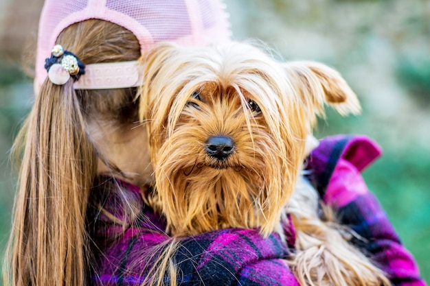 Una ragazza che indossa un berretto tiene un piccolo cane di razza Yorkshire Terrier. Bambini e animali