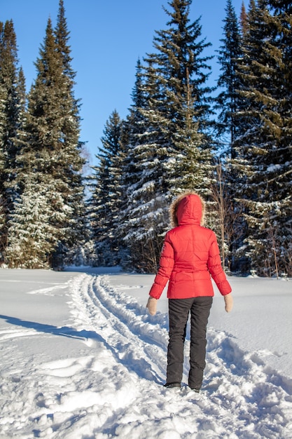 Una ragazza con una giacca rossa cammina attraverso una foresta innevata in una giornata invernale. Retrovisore. Un uomo sullo sfondo di una bellissima natura invernale