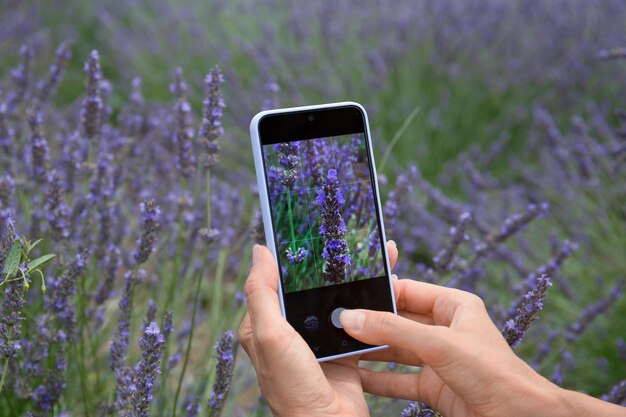 Una ragazza fotografa fiori di lavanda in un campo con uno smartphone Lifestyle hobby