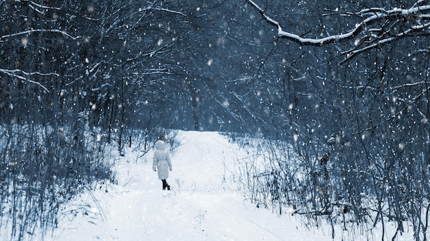 Una ragazza sola cammina nel parco in inverno durante una nevicata