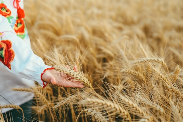 Una ragazza ucraina con una maglietta ricamata cammina per il campo toccandosi le orecchie con le mani