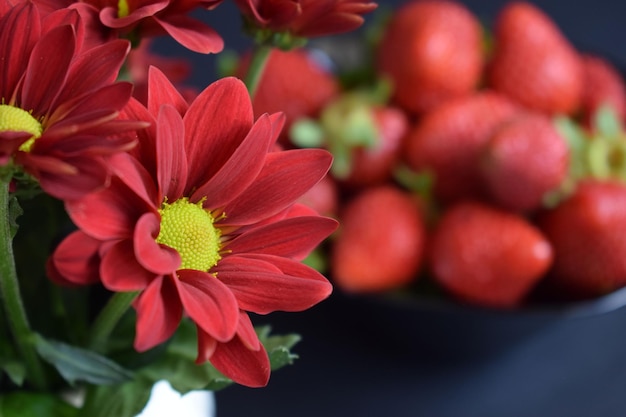 Una razione di fragole fresche su sfondo nero