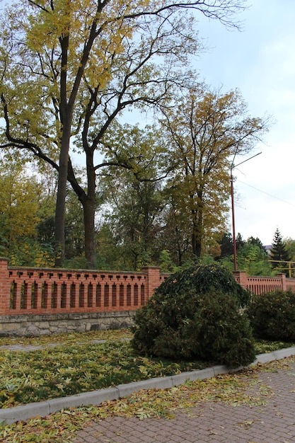 Una recinzione di mattoni con cespugli e alberi