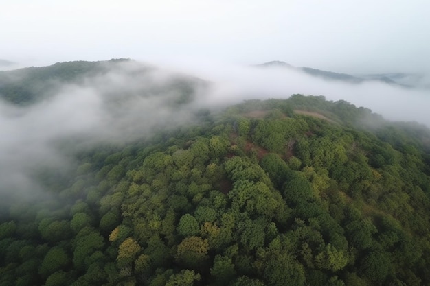 Una ripresa aerea di una bellissima foresta su una collina circondata da nebbia e nebbia naturali