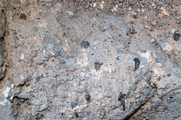 Una roccia con segni bianchi e neri su di essa