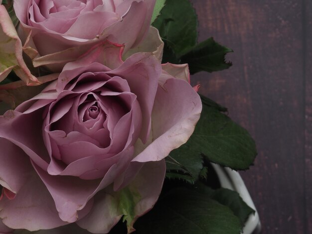 Una rosa rosa con foglie verdi