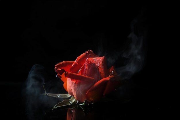 Una rosa rossa con del fumo che ne esce