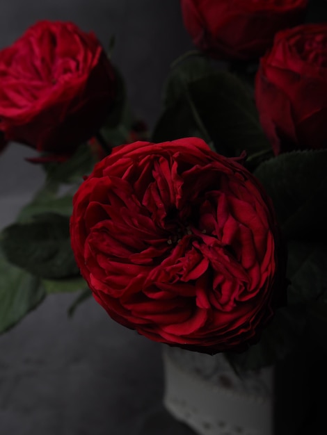 Una rosa rossa in una stanza buia