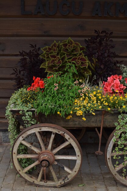 Una ruota di carro con sopra dei fiori