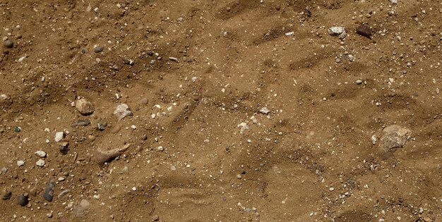 Una sabbia marrone con dentro un bastoncino bianco e nero.