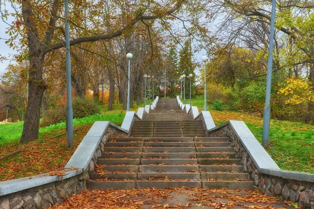 Una scala a chiocciola piena di foglie d'arancio cadute, circondata da alberi gialli